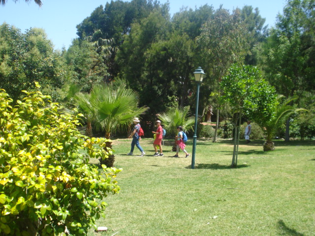 Attachment DSC00328.JPG