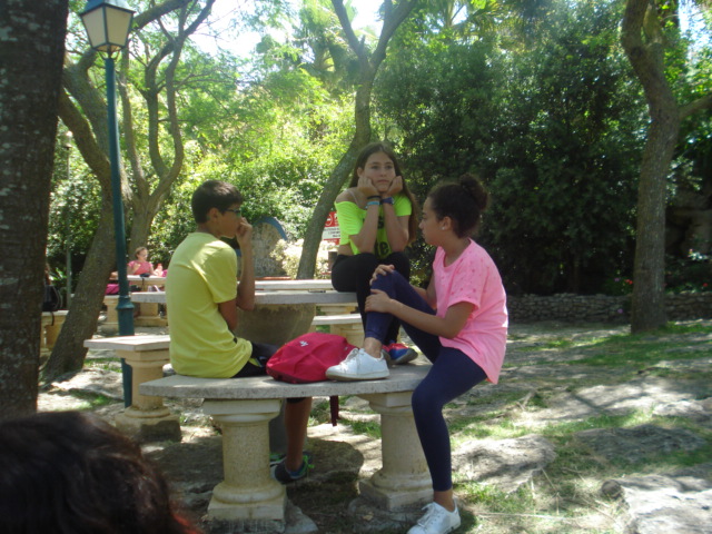 Attachment DSC00332.JPG